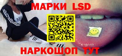 твердый Будённовск